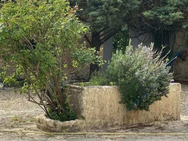 Des Lunes Aumagne